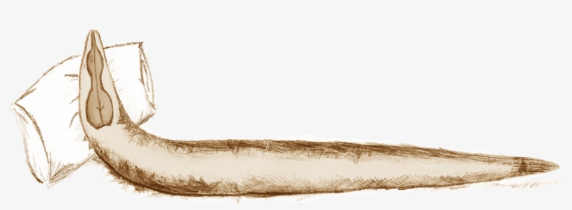 Worm Sleep Deprivation - Sleeping Worm, transparent png download
