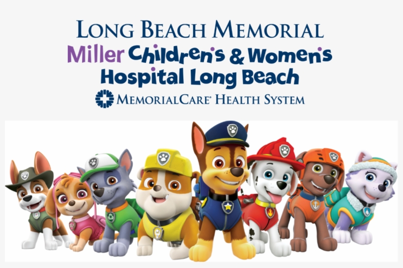 Miller Children's - Paw Patrol All The Pups, transparent png download