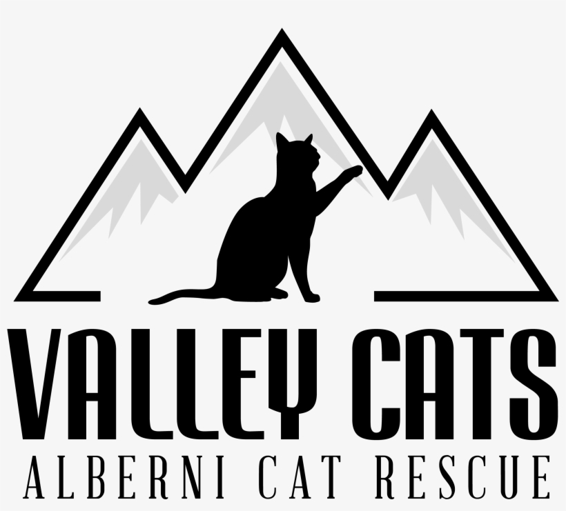 Port Alberni Cat Rescue - Cat Yawns, transparent png download