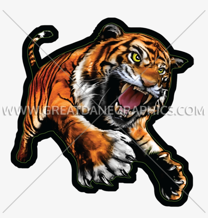 White Tiger Clipart Full Body - Tiger Full, transparent png download