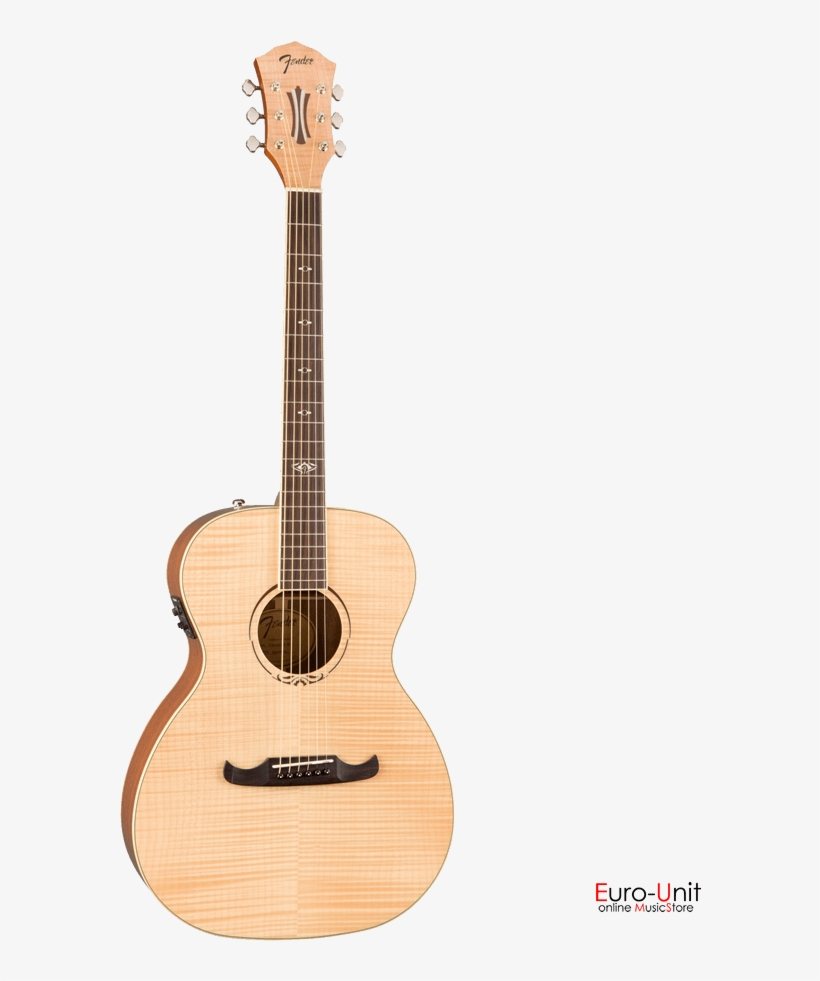 Seagull Artist, transparent png download