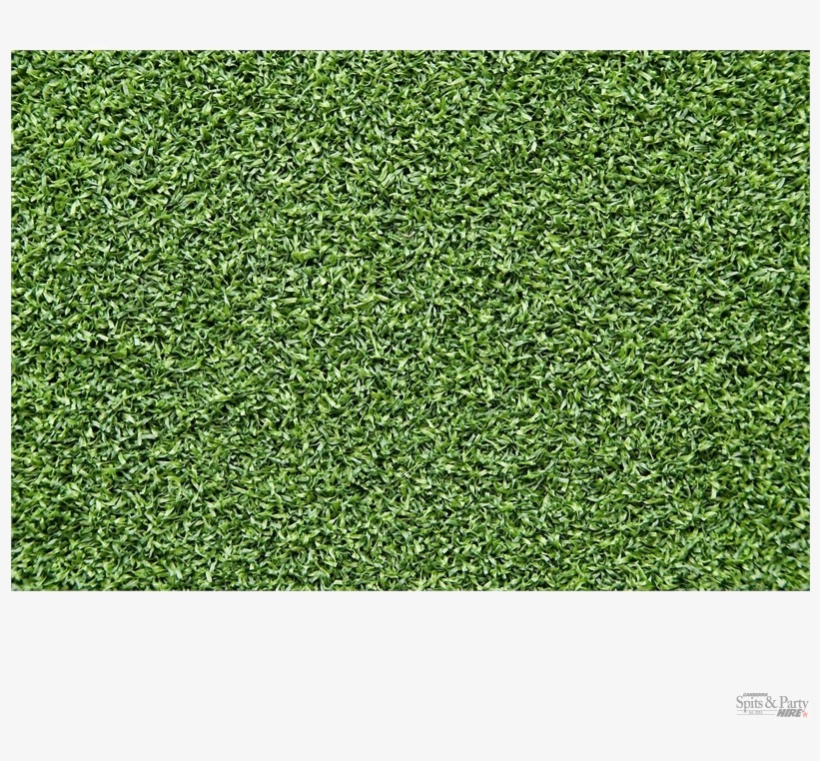 Fake Grass Png Free Download - Artificial Turf, transparent png download