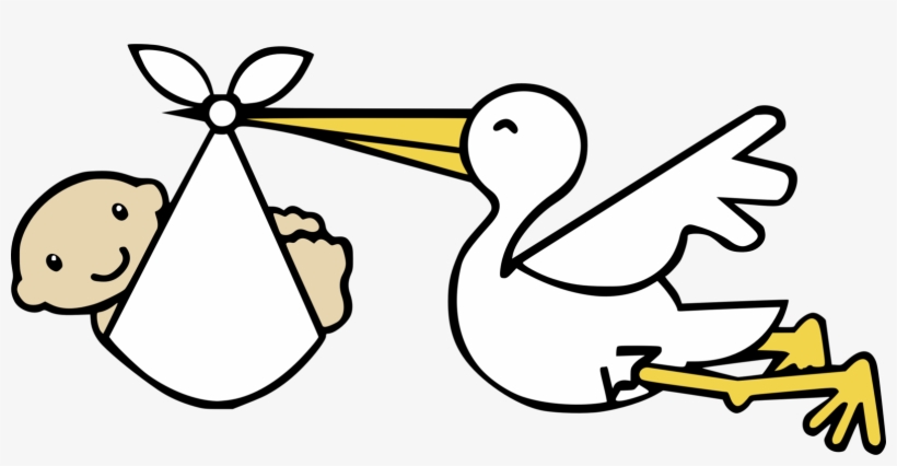 Infant Child White Stork Bird - Cigueña Blanco Y Negro, transparent png download