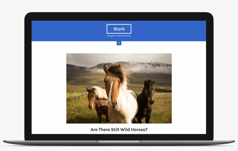 Beautiful Pictures Of Wild Animals, transparent png download