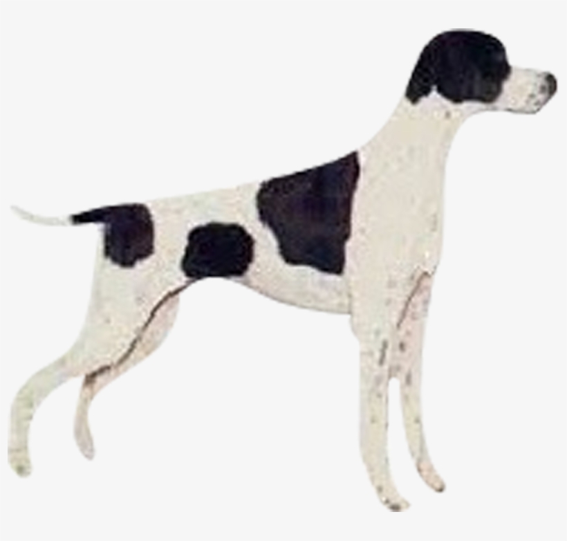 Jaula Transportadora Gato Perro Pequeño Económica Ofertón - Perros Pointer, transparent png download