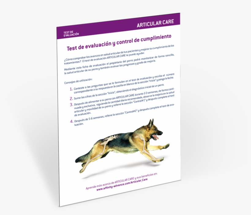 Te Permitirá Comprobar Cómo Evoluciona La Salud Articular - Old German Shepherd Dog, transparent png download