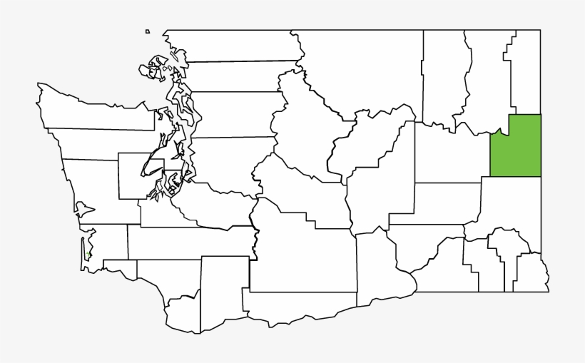 Quick Links - Washington State White Png, transparent png download
