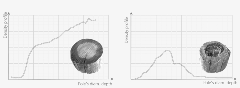 Polux Has Received Many International Awards By Winning - Diagram, transparent png download