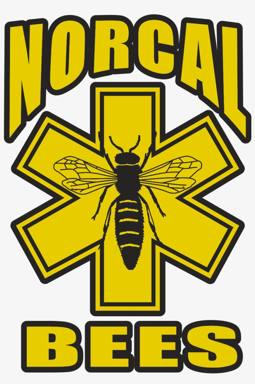 New - Intro Del Mayimbe, transparent png download