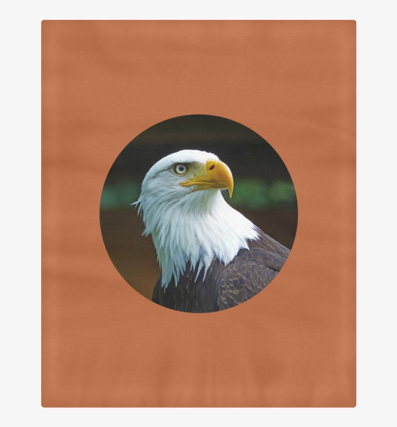 Bald Eagle Head 004 03 Rd Duvet Cover 86"x70" - Bald Eagle, transparent png download
