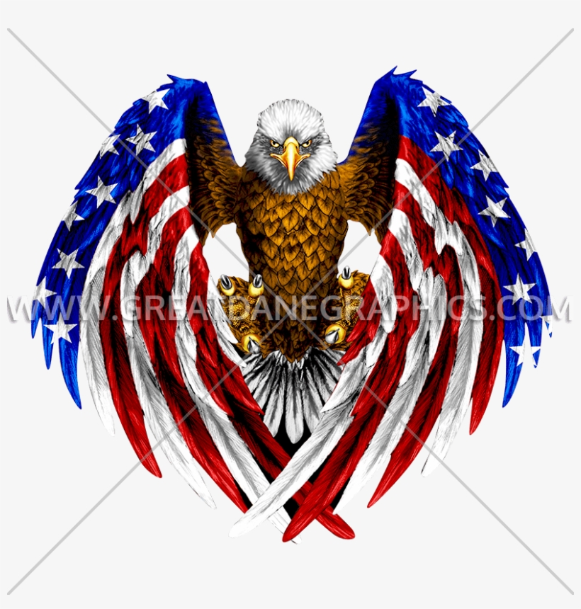 Drawn Bald Eagle Usa Eagle Eagle Usa Flag PNG Image Transparent PNG Free Download on SeekPNG