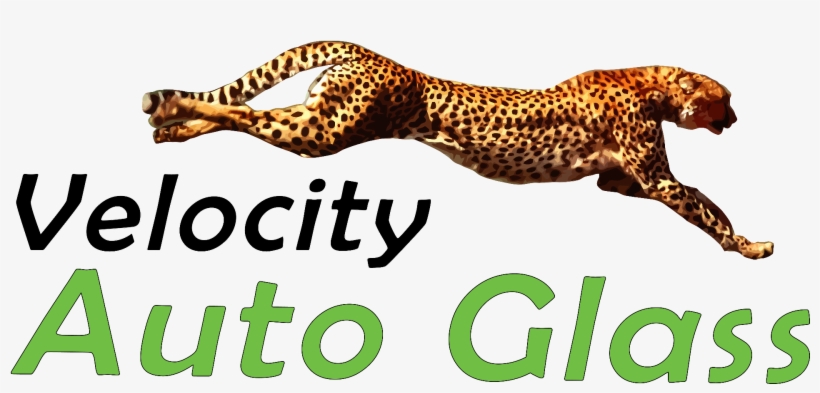 Cheetah Running, transparent png download