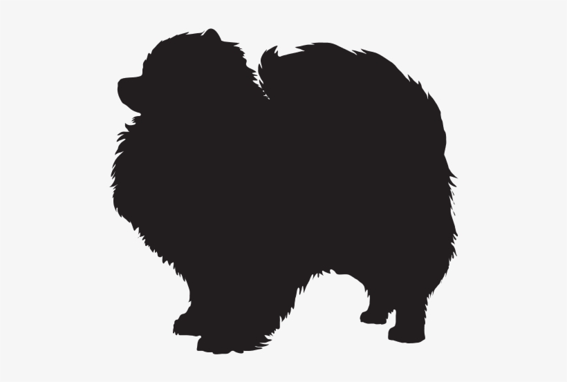Back Design - Dog Shih Tzu Silhouette, transparent png download