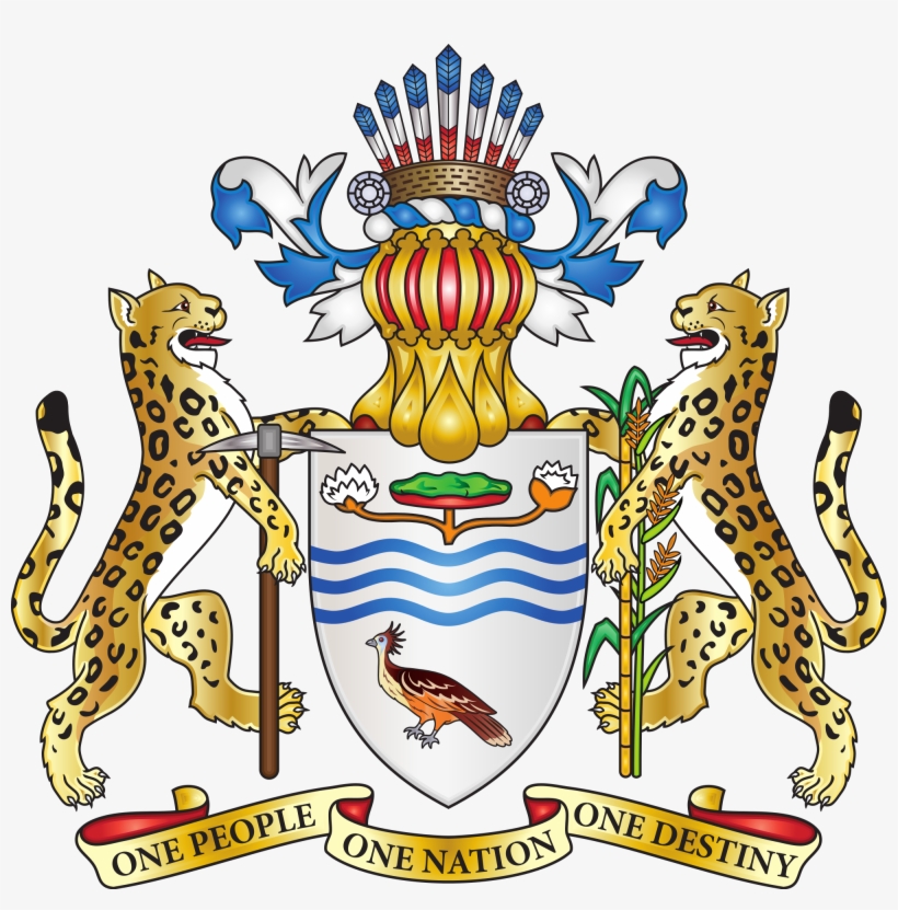 Coat Of Arms Png - Coats Of Arms Guyana, transparent png download