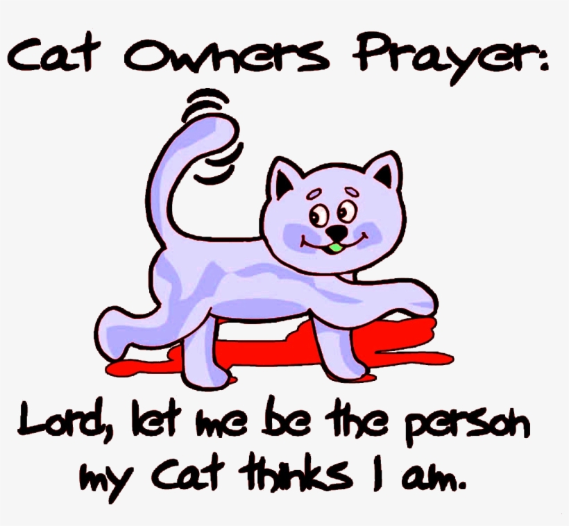 Cat Owner Prayer - T Shirt Quotes For Girls, transparent png download