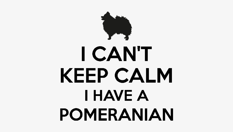 I Cant Keep Calm I Have A Pomeranian - Silhouette, transparent png download