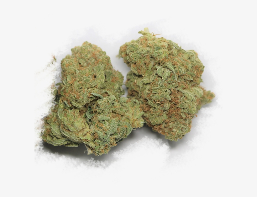 Canada's Best & Cheapest High Quality Bulk Medicinal - Military Uniform, transparent png download