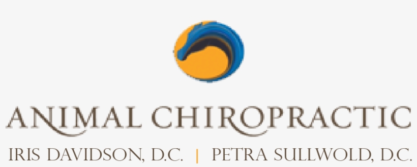 Petra Teaches Clinic At Wagon Wheel Ranch - Mount Royal University, transparent png download