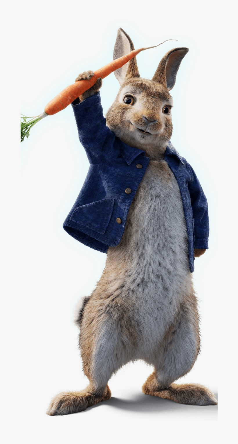 Punxsutawney Phil, transparent png download