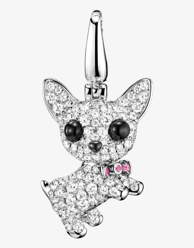 Chihuahua, transparent png download