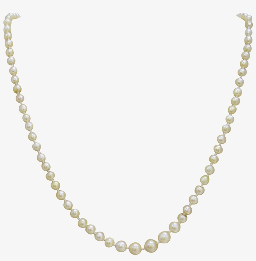 Strand Of Pearls Necklace - Gold Twisted Chain Necklace, transparent png download