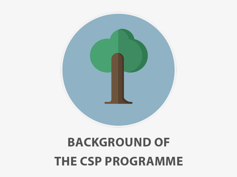 Creating Safer Environment For Children In Schools - Providence Bruins, transparent png download