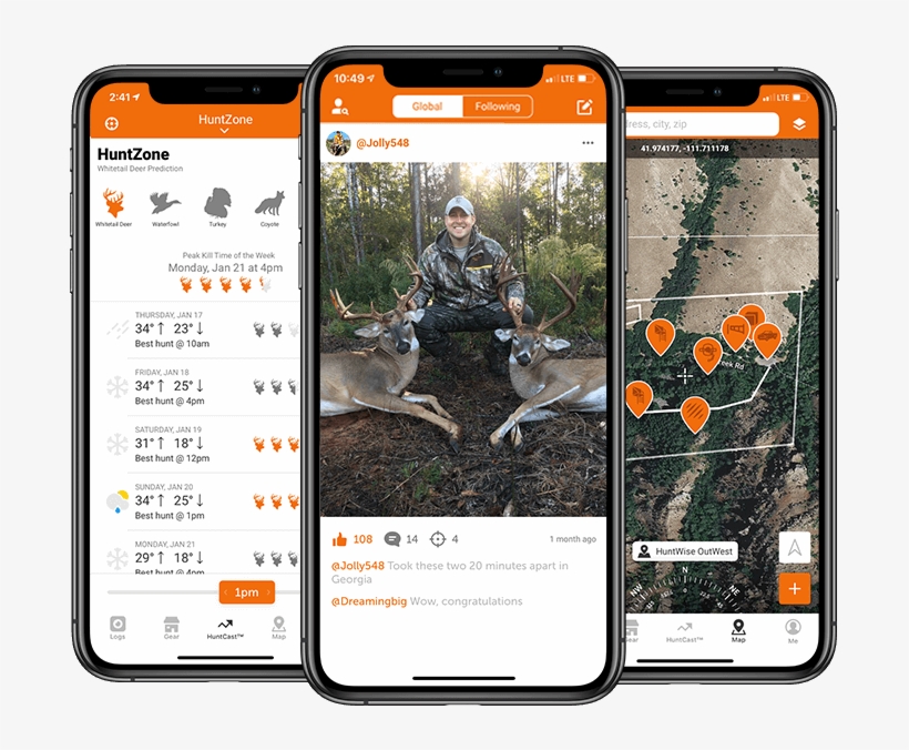 Ui Specieswhitetail - Bear, transparent png download