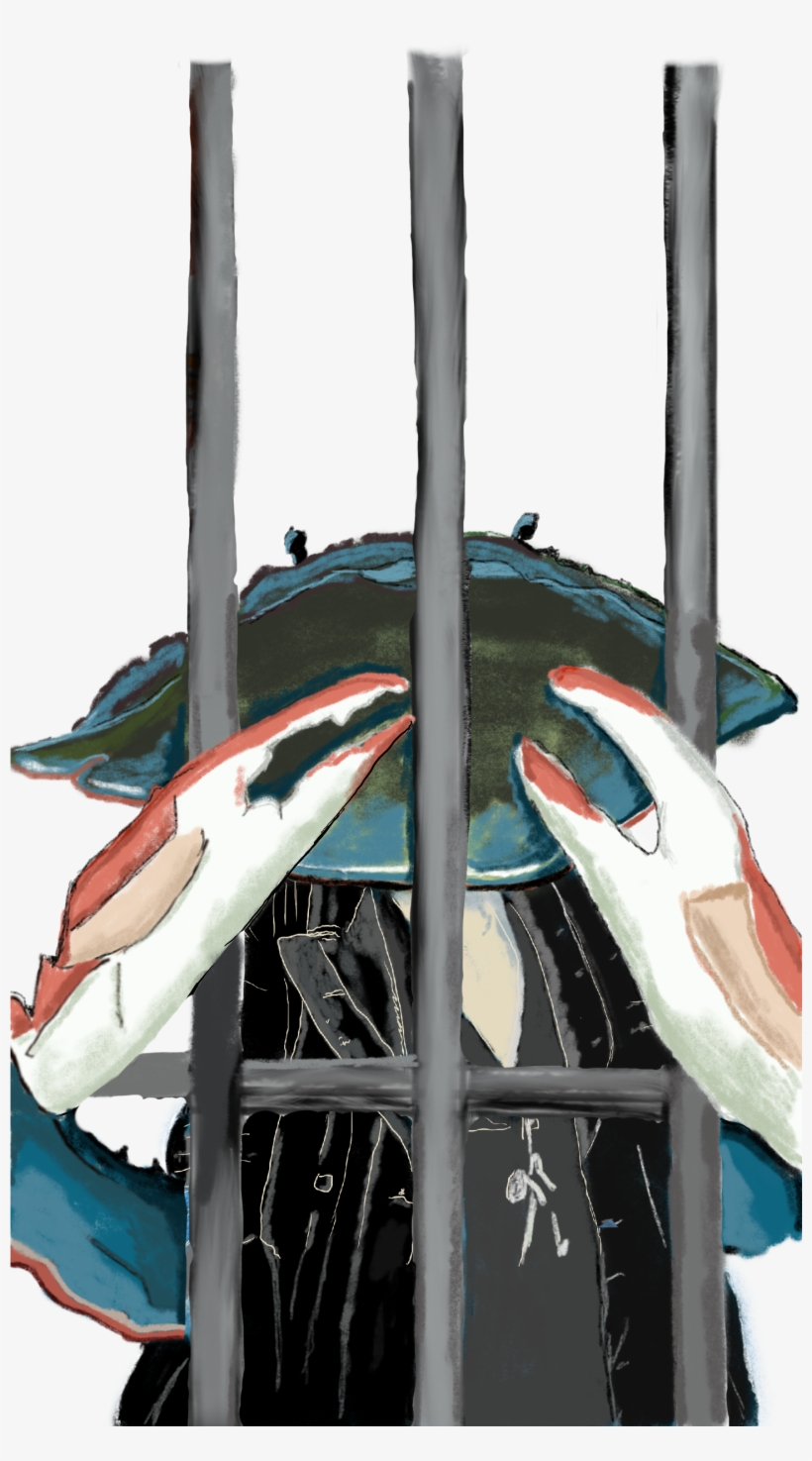 Blue Crab Blues - Red-footed Booby, transparent png download