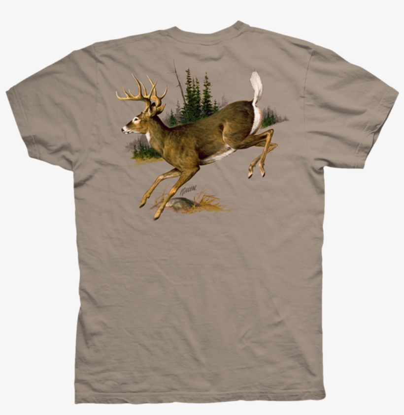 Elk, transparent png download