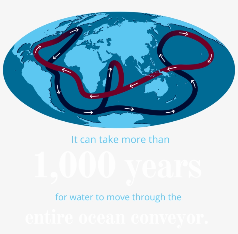 World Map, transparent png download