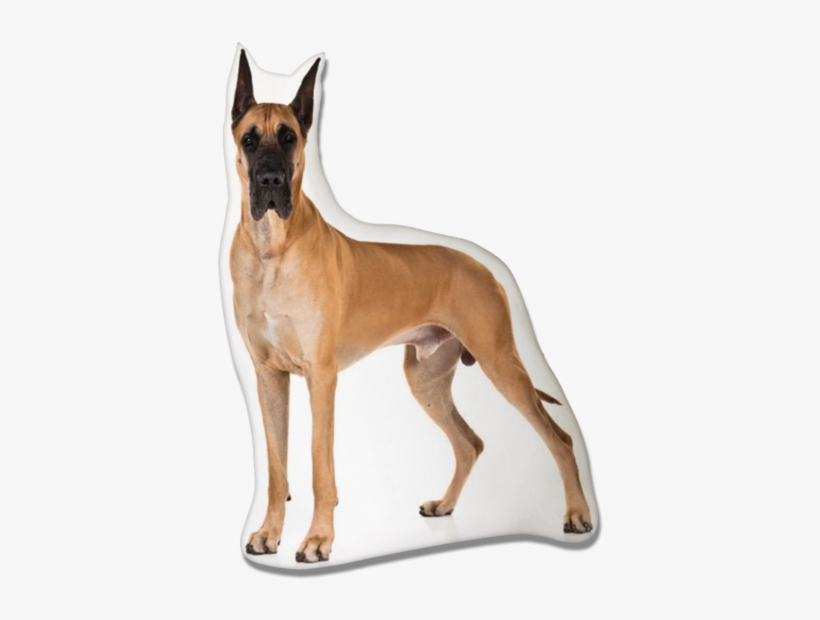 Great Dane, transparent png download