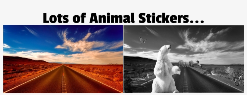 Adding Animal To A Image Edit Here - Dirt Road, transparent png download