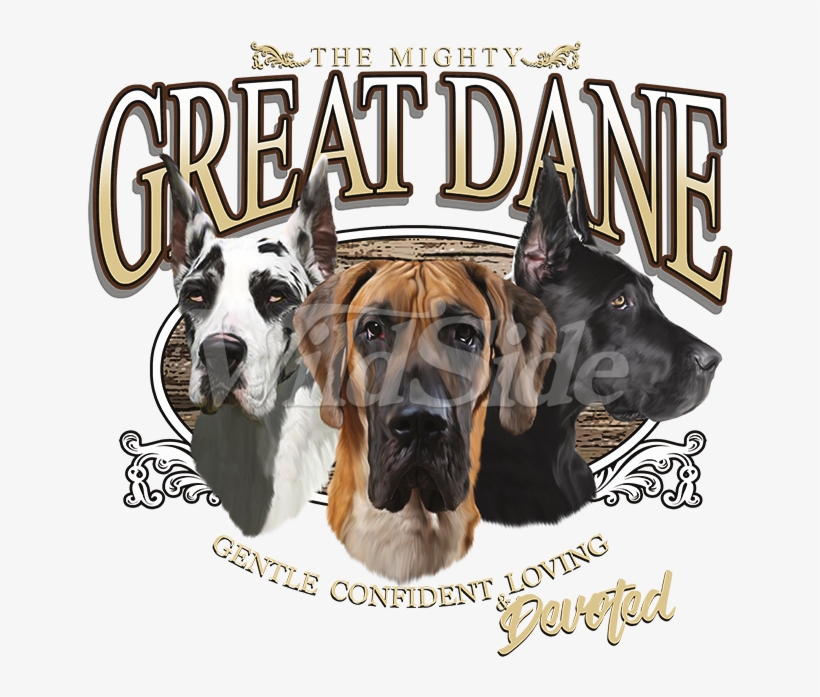 Great Dane, transparent png download