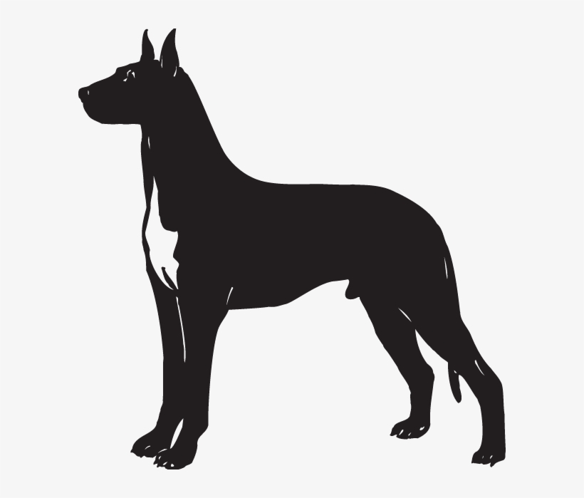 Great Dane Silhouette Png, transparent png download