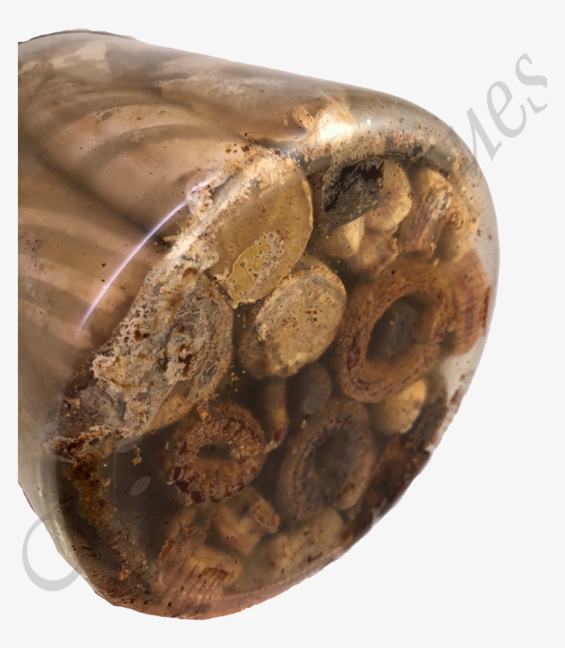 Antique 19thc Desiccated Victorian Christmas Candy - Artifact, transparent png download