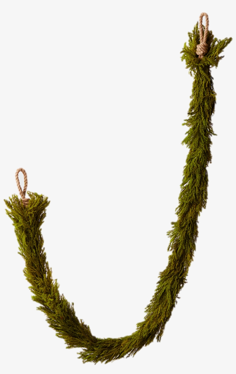 Free Shipping * On All Orders - Necklace, transparent png download