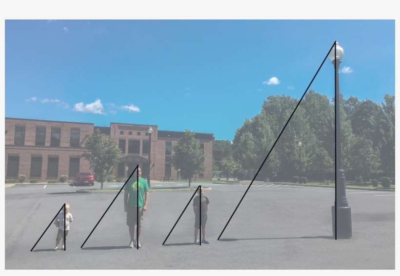 Explain Why The Relationship Between The Height Of - Plaza, transparent png download