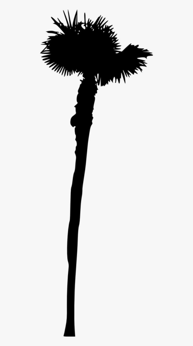 Free Png Palm Tree Silhouette Png - Shadow, transparent png download