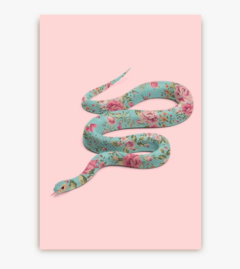 Pink Background, transparent png download