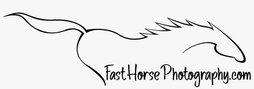 New Fast Horse Logo Resized2500 - Line Art, transparent png download