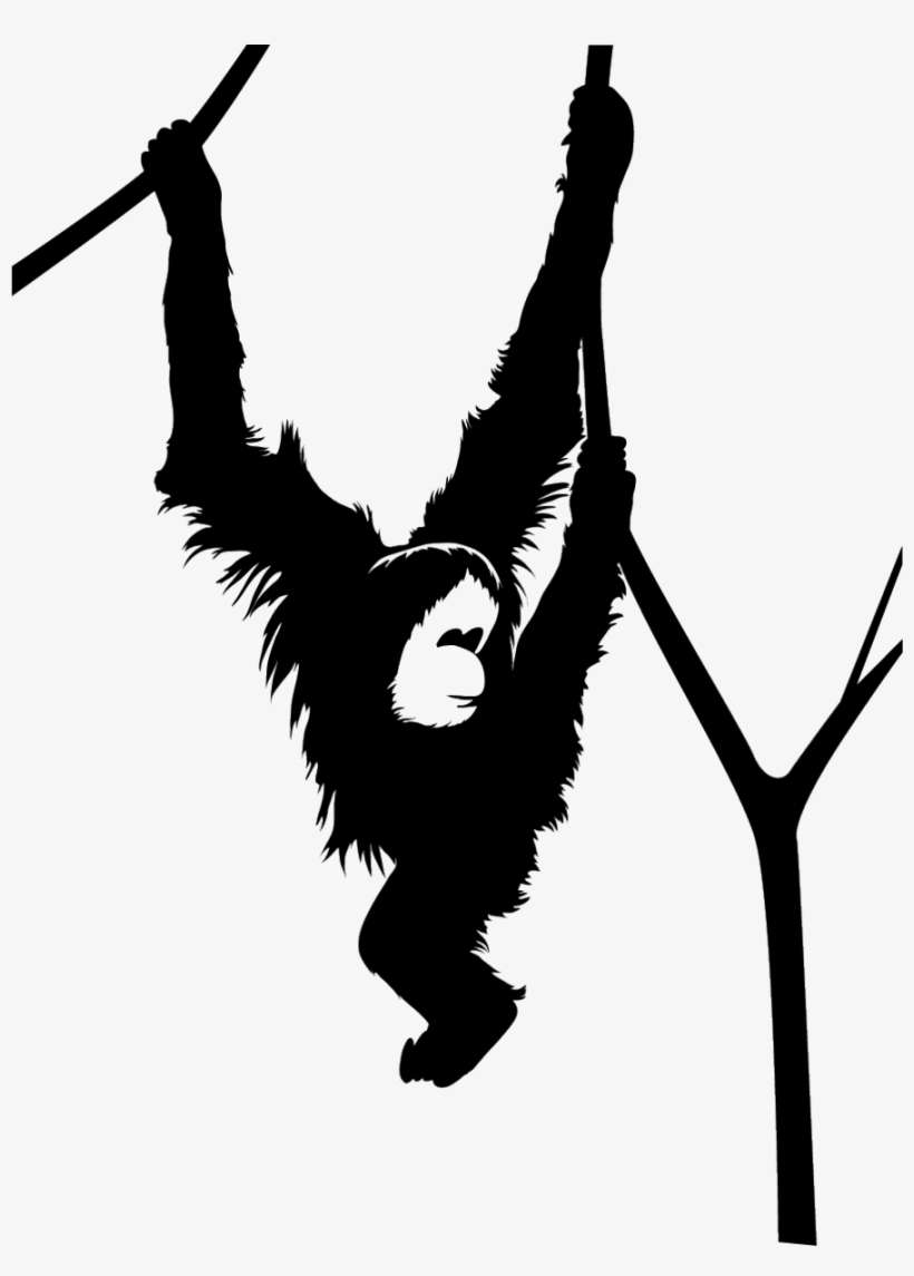 Monkey Hanging From A Tree Black Silhouette, transparent png download