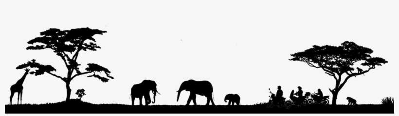 Motorcycle And Overland Renbtals Nd Tours In Southern - Indian Elephant, transparent png download