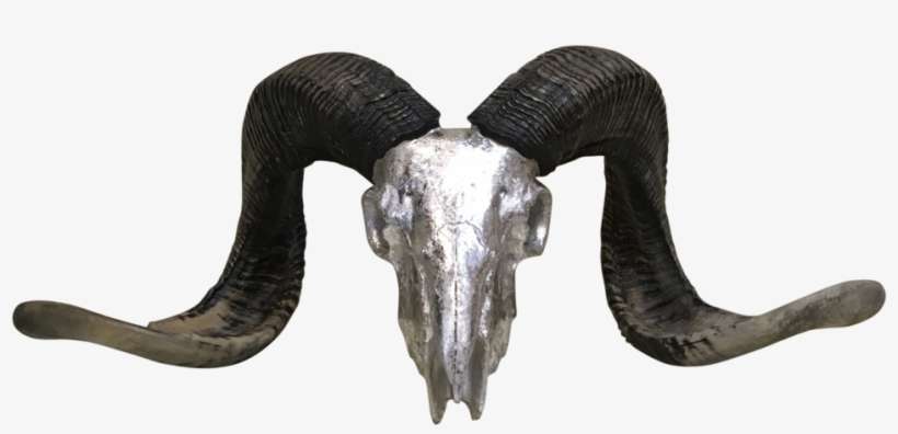 Silver Rams Head With Horns - Horn, transparent png download