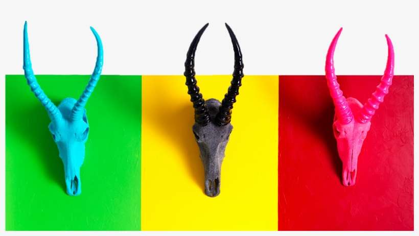 Blesbok Trio - Horn, transparent png download
