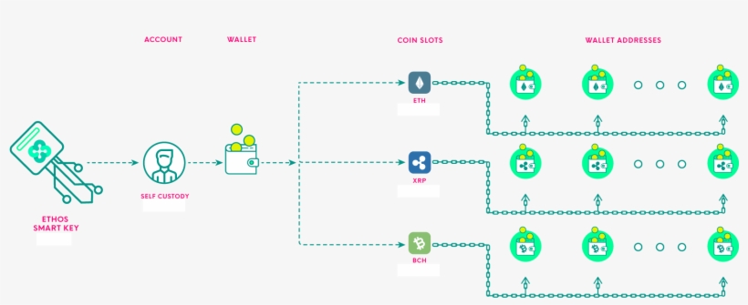 An Hd Wallet Is A System For Deriving Seemingly Infinite - Circle, transparent png download