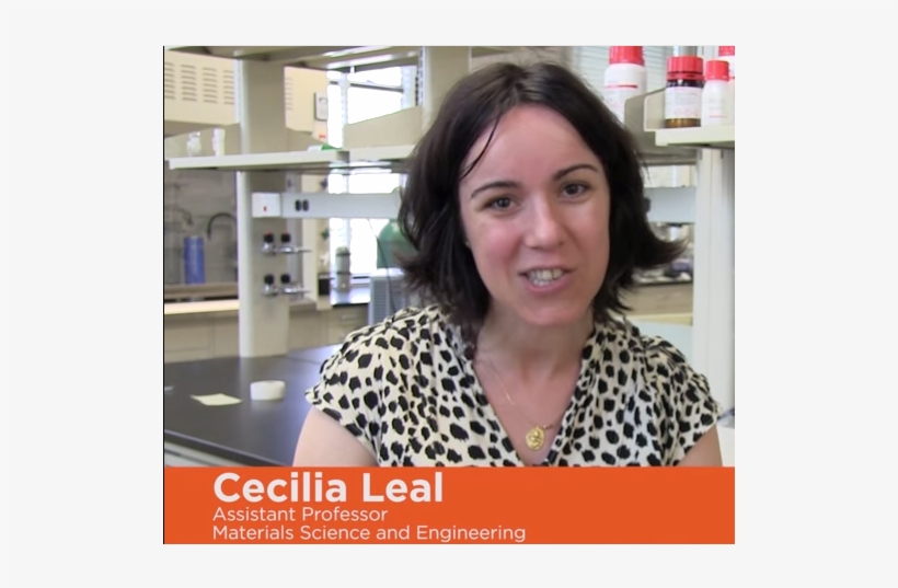 Check Out The New Women In Engineering At Illinois - Photo Caption, transparent png download