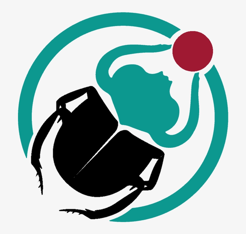 Zillow To Start Purchasing, Offering Houses In Dallas - Illustration, transparent png download