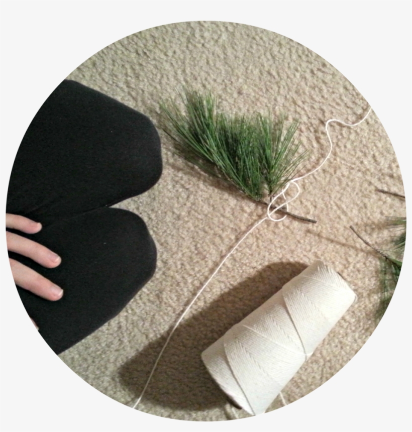 20151130 190810 - Sweet Grass, transparent png download