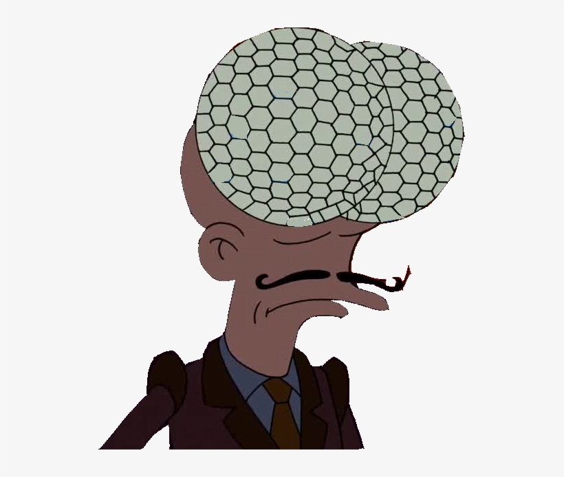 Fly Mutant - Fly Mutant Futurama, transparent png download