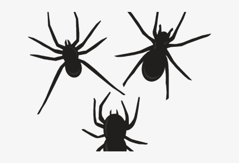 Arachnid Clipart Cute Spider - Insect, transparent png download